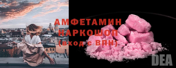 трава Коряжма