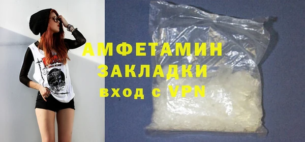 трава Коряжма