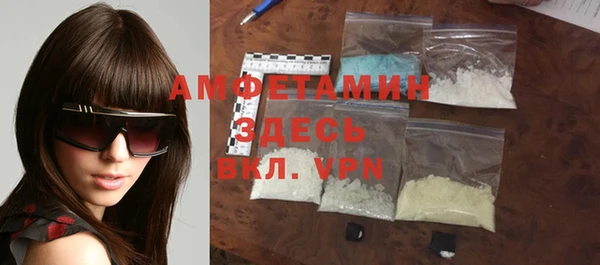 трава Коряжма