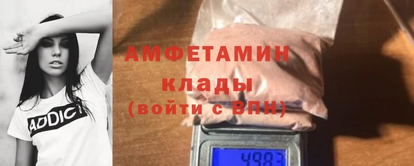 трава Коряжма