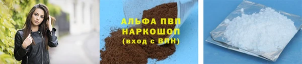 трава Коряжма