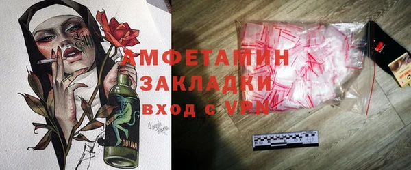 трава Коряжма