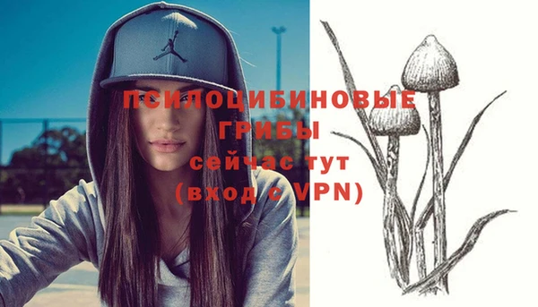 трава Коряжма