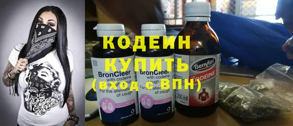 трава Коряжма