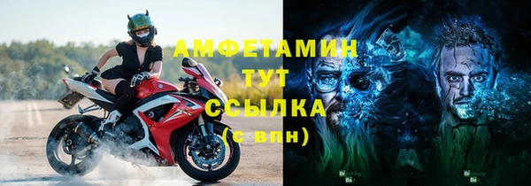 трава Коряжма